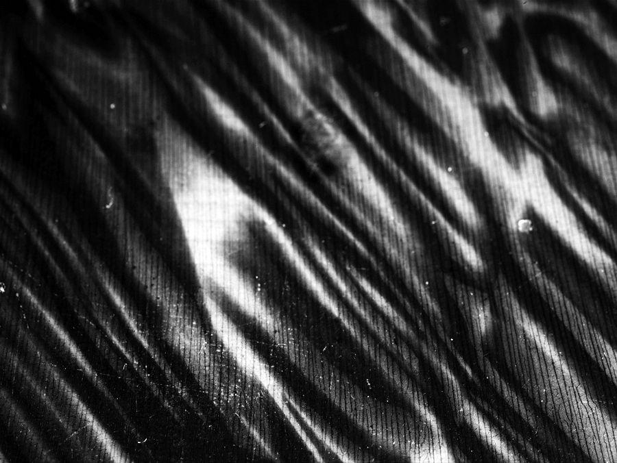 2009-01-20 / 4446