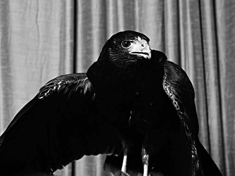 2012-03-18 / 3099