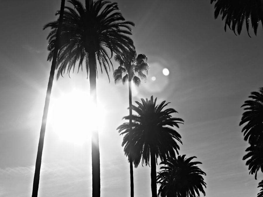 2011-05-28 / 3719