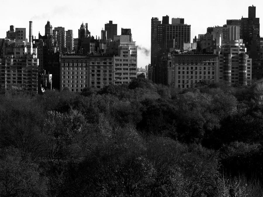 2008-09-16 / 4559