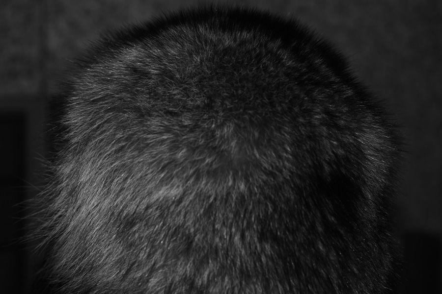 2007-03-15 / 5370