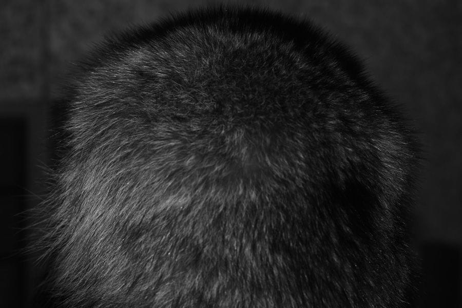 2007-03-15 / 5370