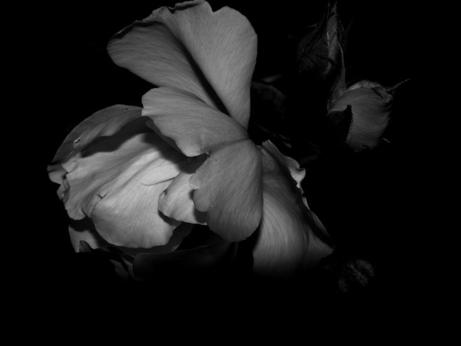 2007-07-10 / 5128