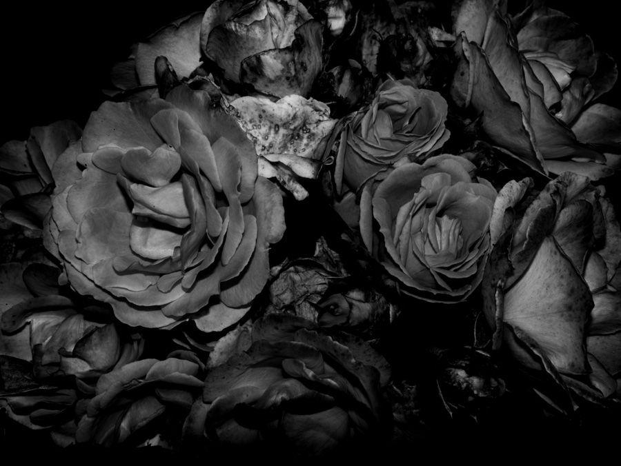 2007-07-10 / 5132