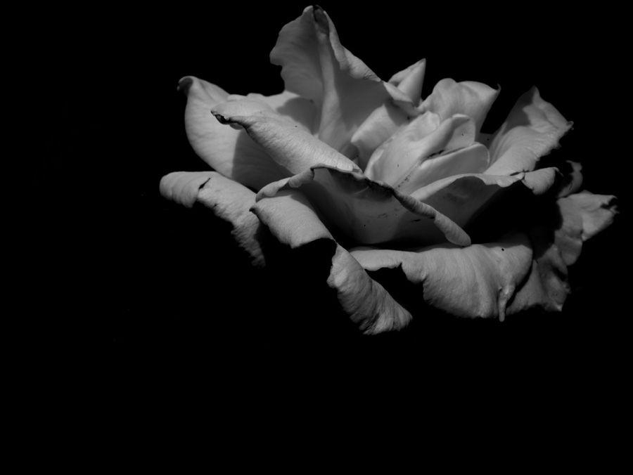 2007-07-10 / 5125