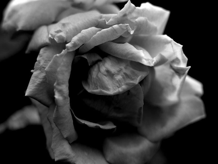 2007-07-10 / 5122