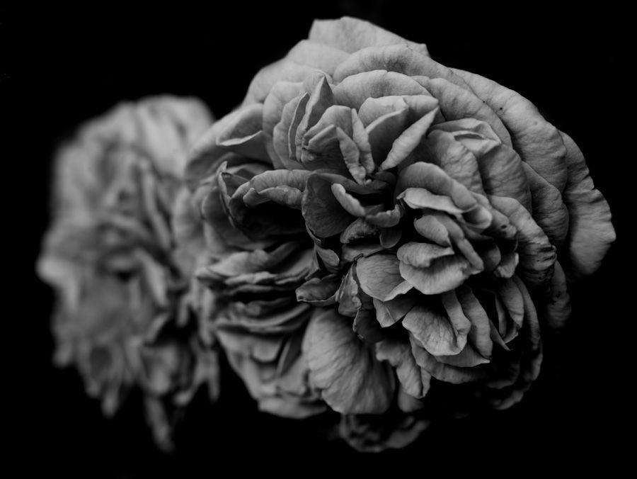 2007-07-10 / 5113