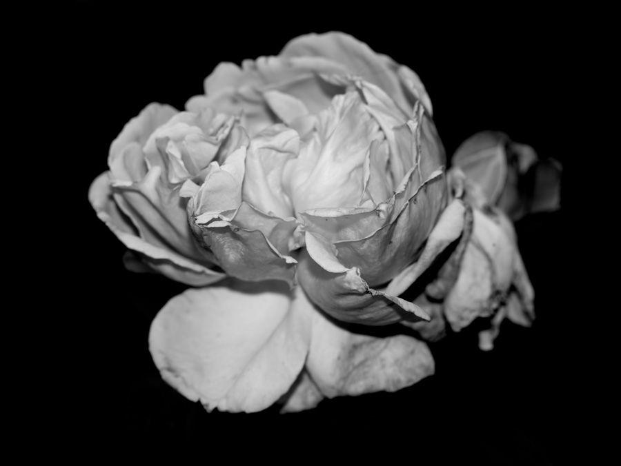 2007-07-10 / 5119