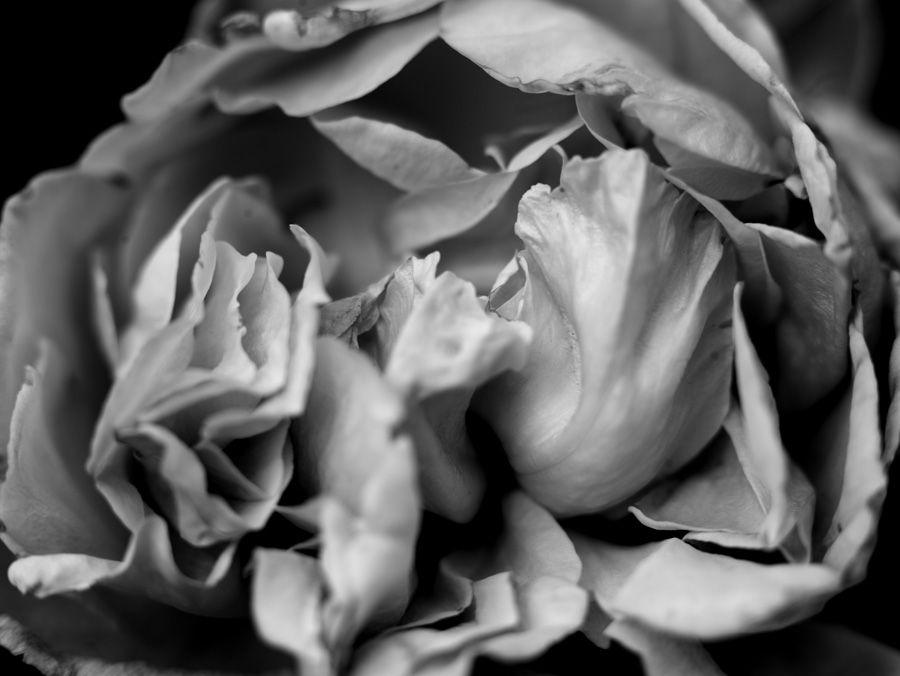 2007-07-10 / 5115