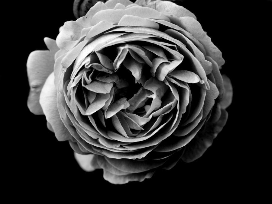 2007-07-10 / 5118