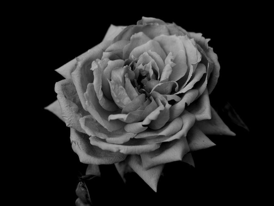 2007-07-10 / 5134