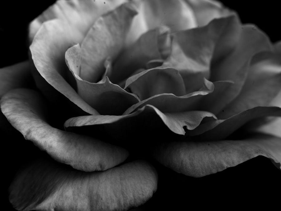 2007-07-10 / 5133