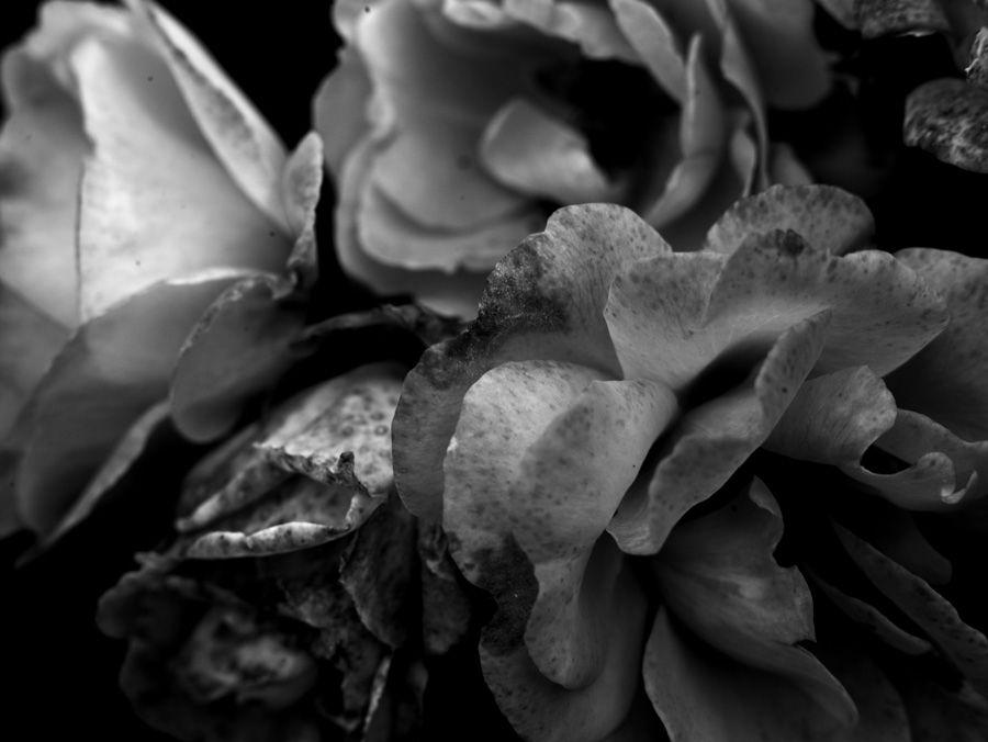 2007-07-10 / 5130