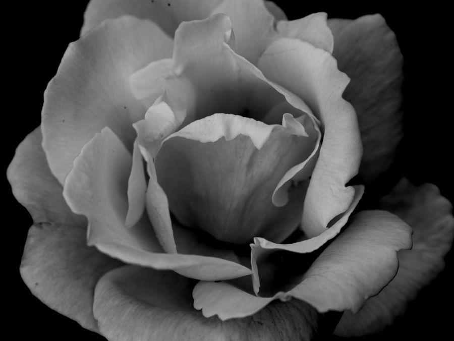 2007-07-10 / 5126
