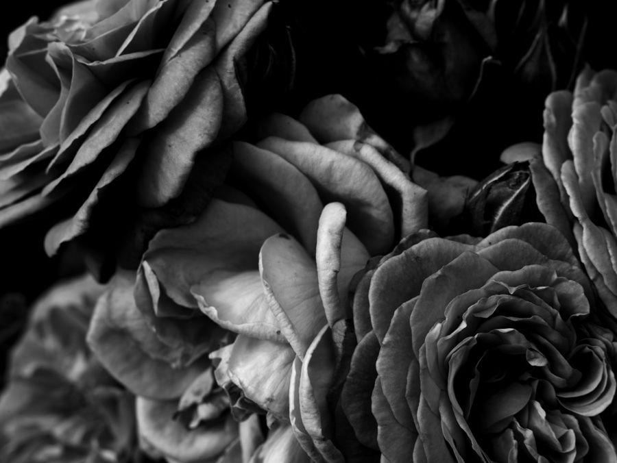 2007-07-10 / 5110
