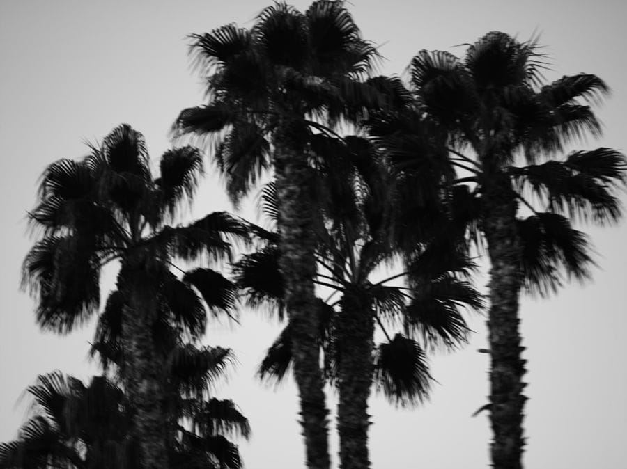 2011-06-14 / 3641