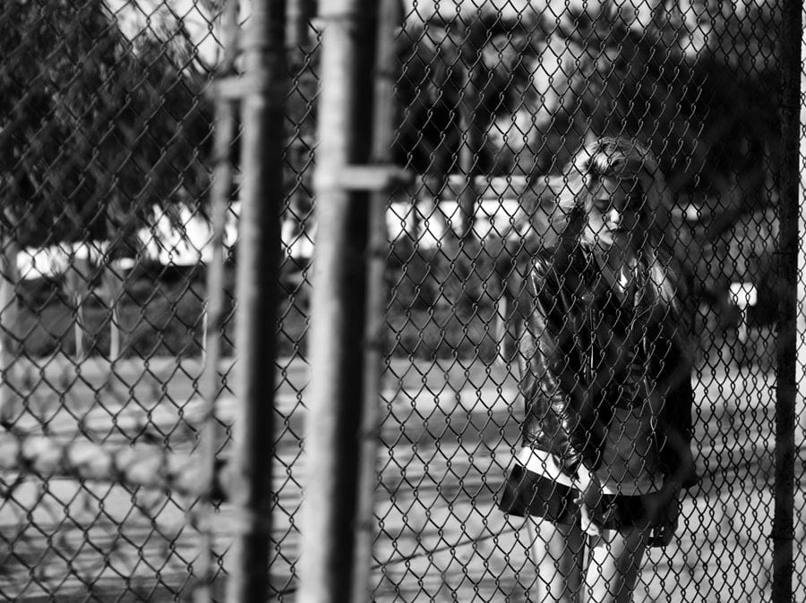 2011-08-23 / 3484