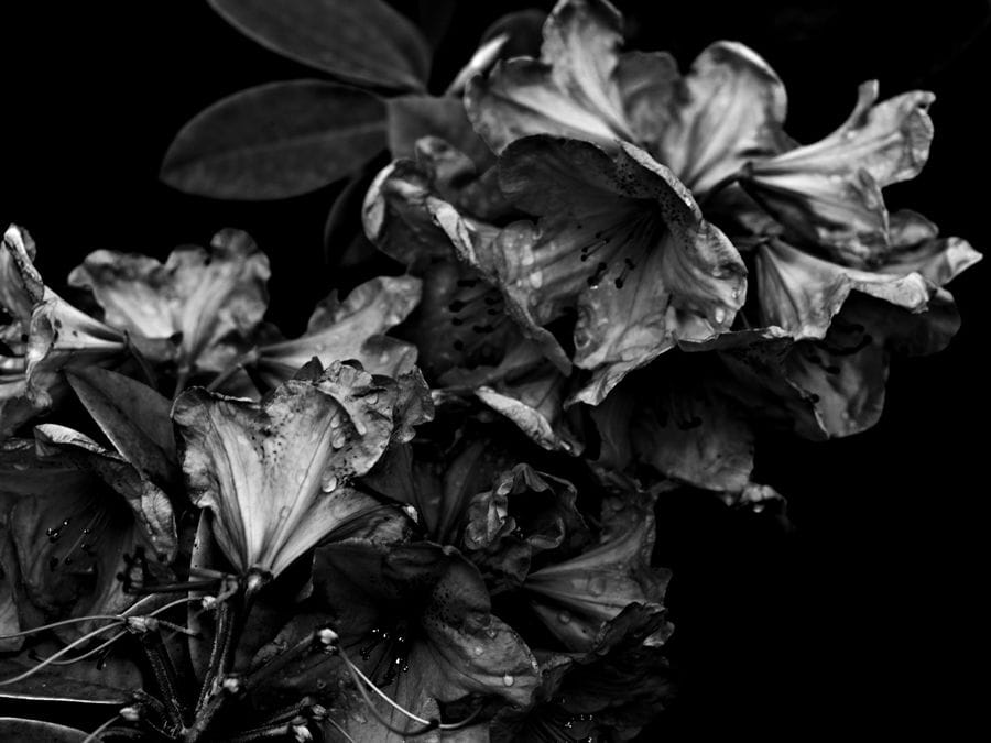 2011-07-24 / 3572