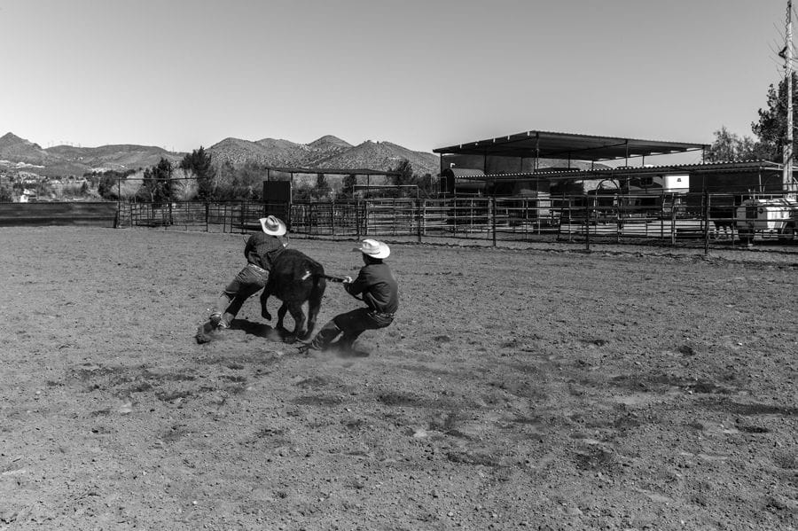 2013-05-12 / 2608