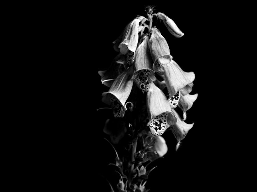2011-07-24 / 3575
